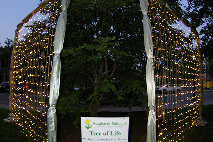 Tree of Life Light Display illuminated in Washington Park.